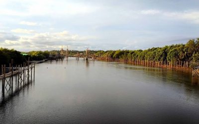 Spot Wisata Kekinian Hutan Mangrove Kulon Progo