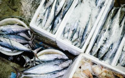 Berkuliner di Pantai Depok Yogyakarta