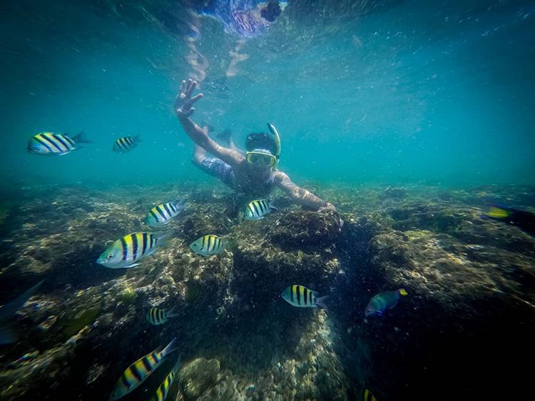 Pantai Krakal, Spot Snorkeling di Jogja yang Eksotis