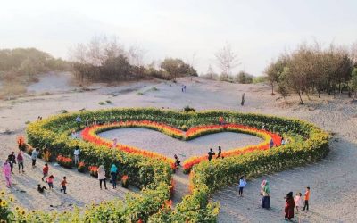 Taman Bunga Celosia yang Terkenal di Jogja